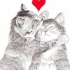 DashaMiss